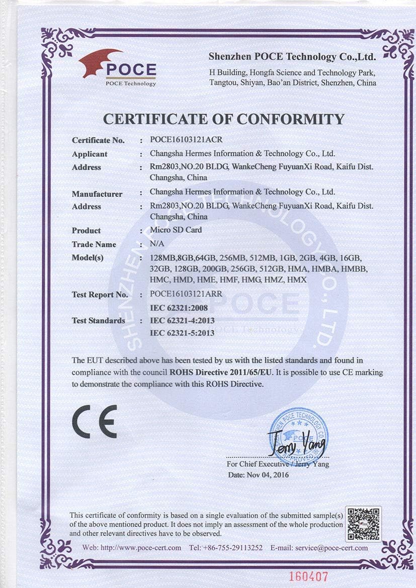 Cloudisk Pack 10 128MB 128GB) C4 (128MB=0.128GB) of Micro SD Card Small Capacity (Not Memory Card with Adapter, Card