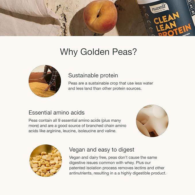 Nuzest - Pea Protein Powder - Clean Lean Protein, Premium Vegan Plant Based Protein Powder, Dairy Free, Gluten Free, GMO Free, Protein Shake, Rich Chocolate, 20 Servings, 1.1 lb