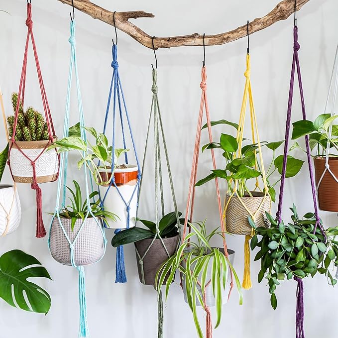 MECCANIXITY 1/8 Inch Polypropylene Rope Braided Ropes, 328ft Nylon Rope Hollow Utility Cord for Clothesline, Camping, Hiking, Outdoor, Camel Grey