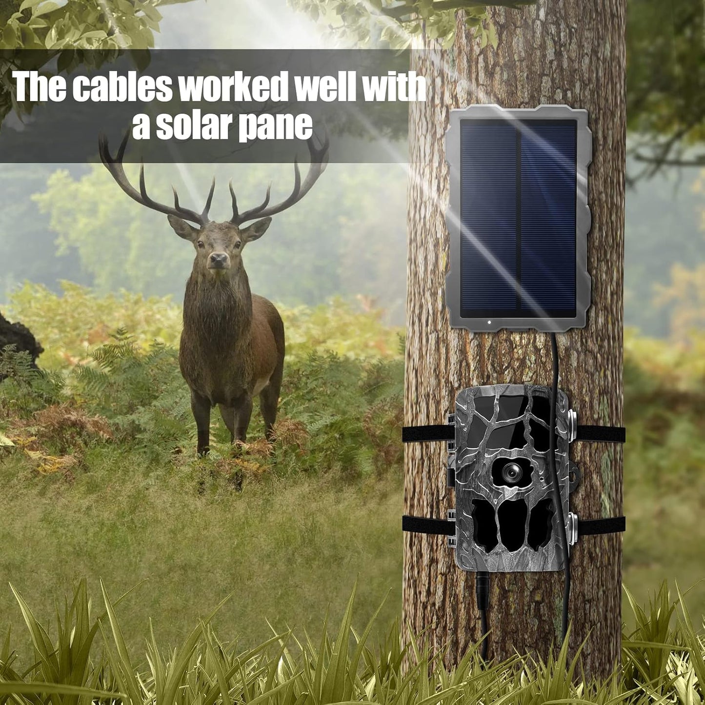Yoizyfree 4.0x1.7mm 4.0x1.7mm Trail Camera Power Cord, DC External Power Cable Compatible with Tactacam Reveal X, XB