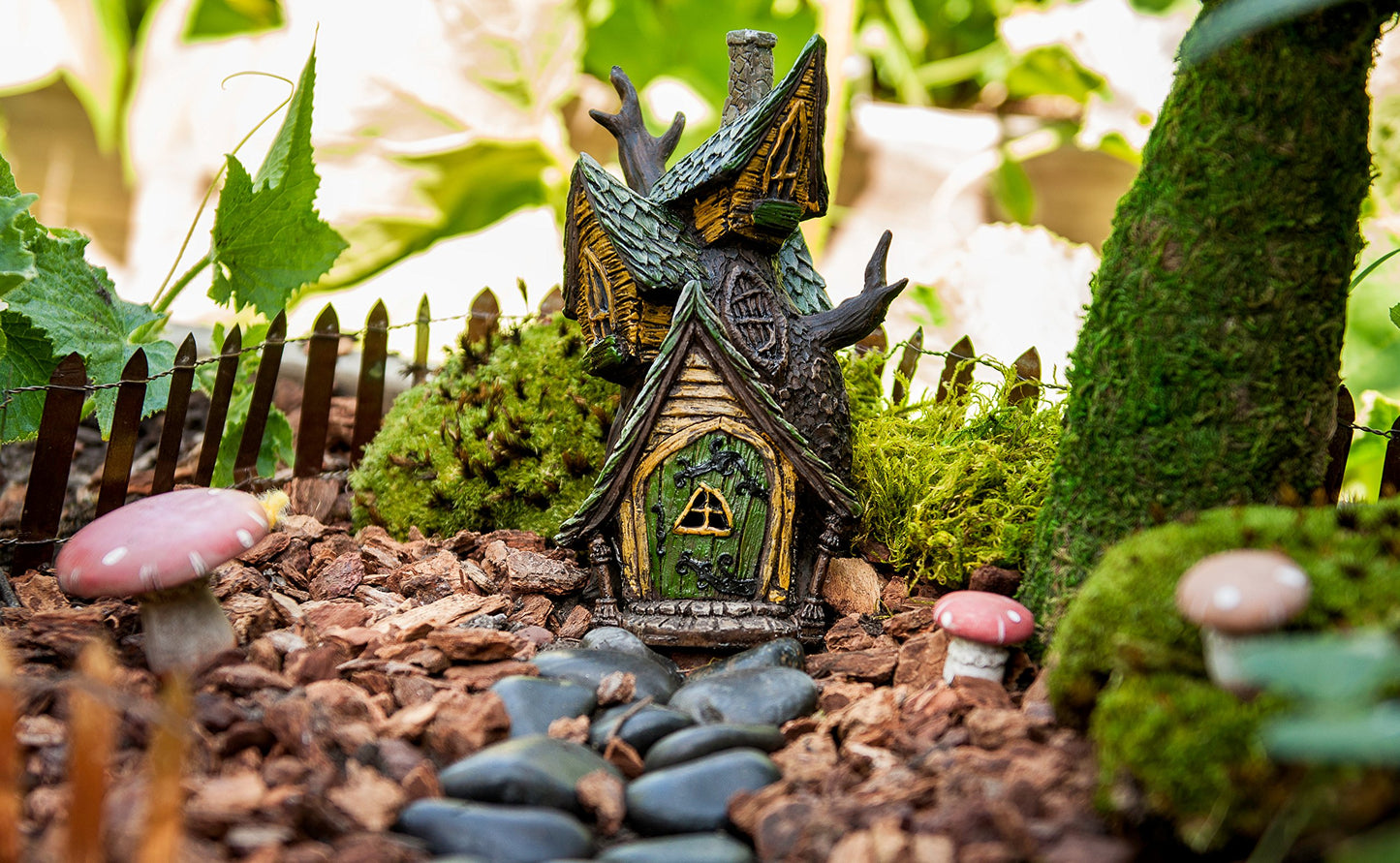 SuperMoss (50310) Fairy Garden Kit, Mixed Mosses, 4 oz., Multicolor