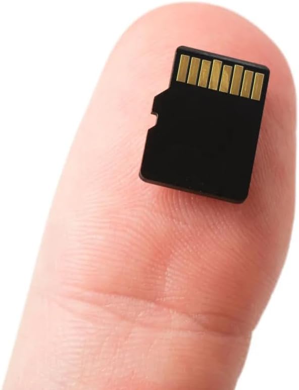 SECULINK FAT32 10 24/7 (32GB) TF Memory Card Format Class High Speed Reading/Writing Recording for Security Camera Dash