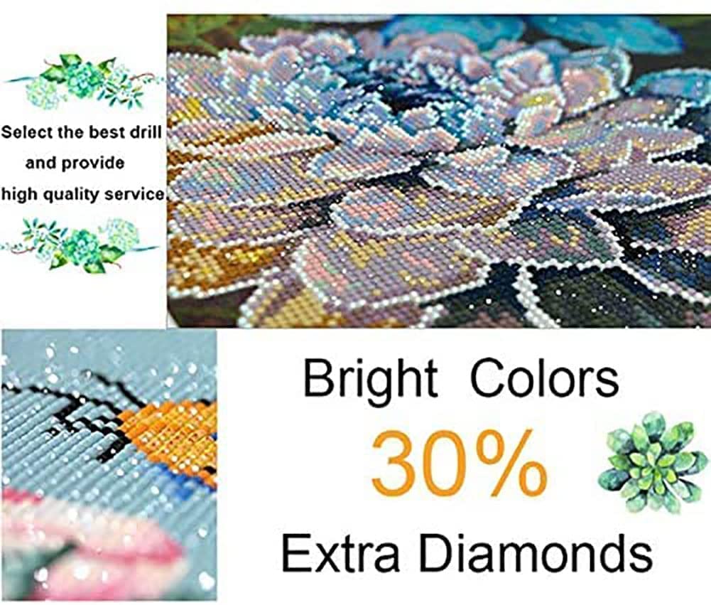 Generic DIYPAINTING 5D DIY Diamond Art Painting US Marine C Corps 12X16 Full Drill Round Drill Crystal Rhinestone Embroidery Pictures Arts Craft for Home Wall Decor Gift, DIYDECOR001