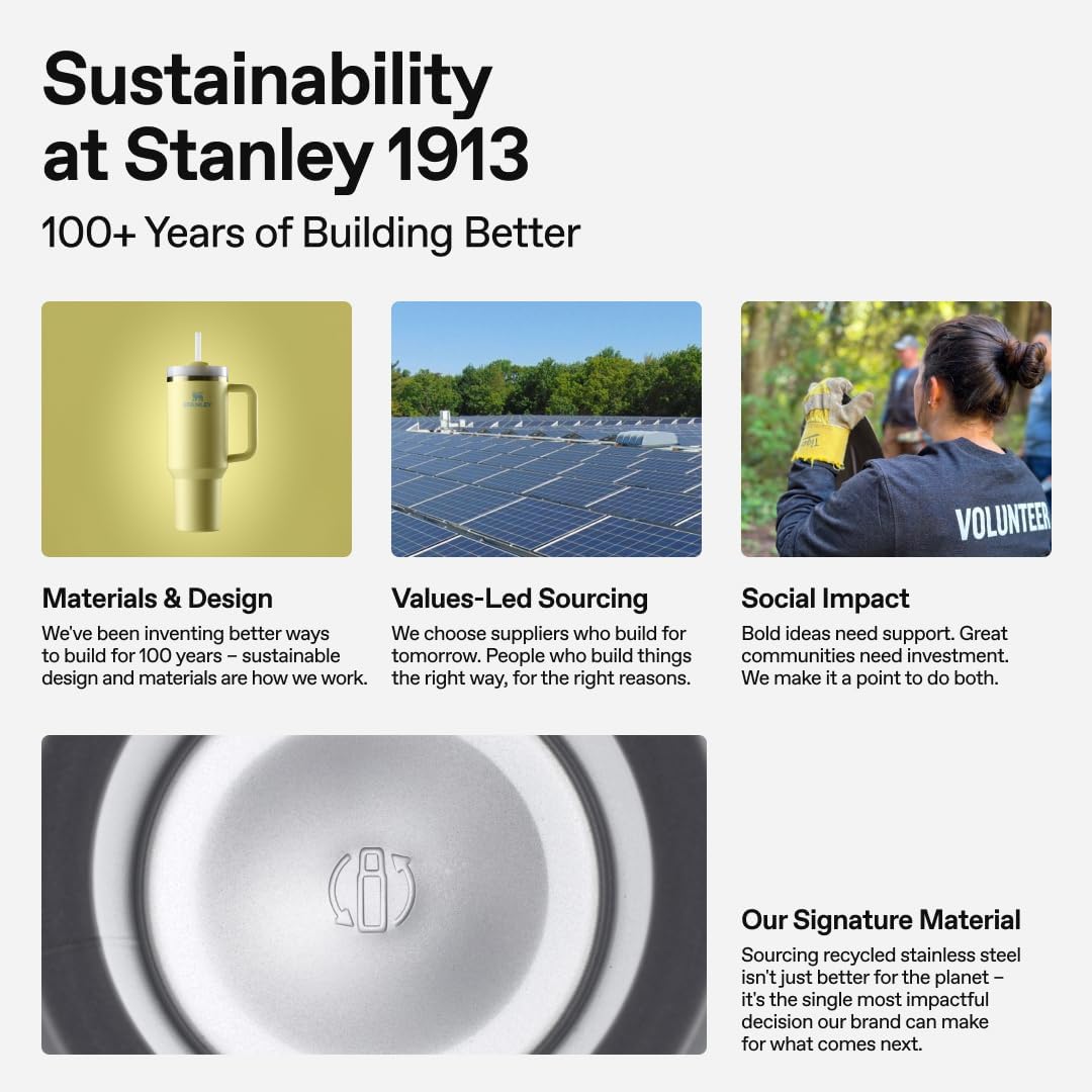 STANLEY Quencher H2.0 Tumbler - 30 oz Insulated Stainless Steel Cup with Handle & Straw | BPA-Free | Ash