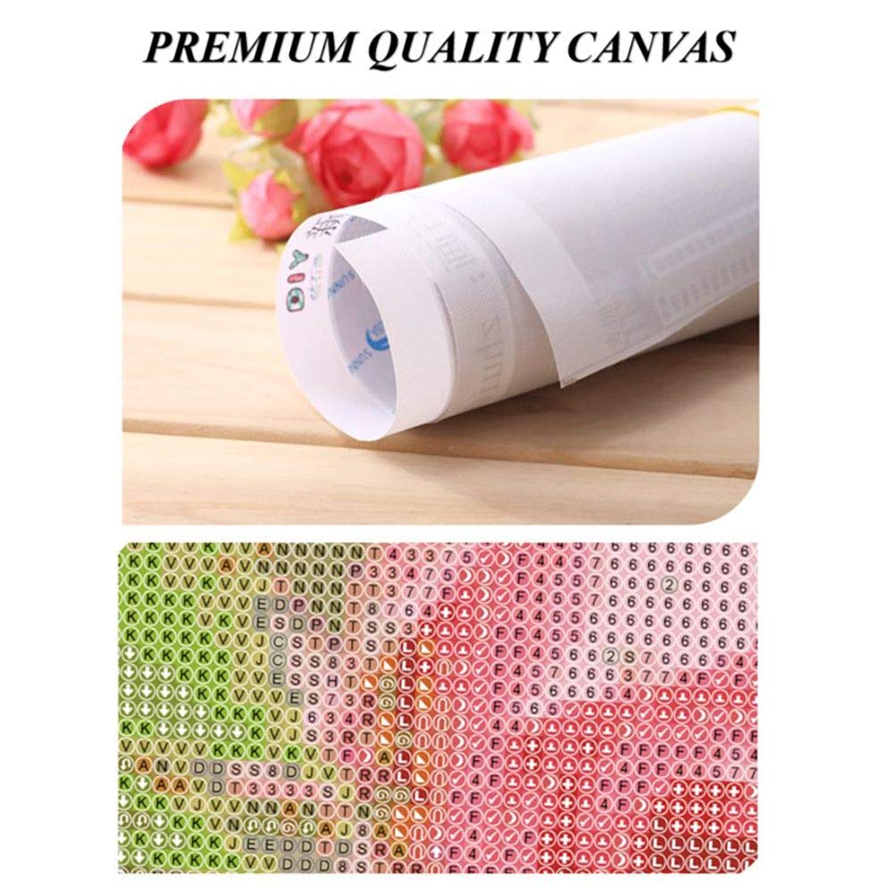 Sukimi 5D DIY Diamond Painting Alice 16X20 inches Full Round Drill Rhinestone Embroidery for Wall Decoration