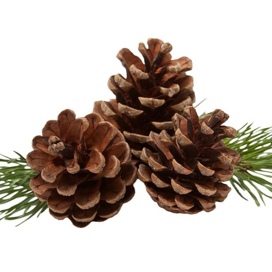 24 PCS Christmas Pine Cones Decorations - Pine Cones Ornaments in 3 Sizes with Strings for Table Tree Home DIY Gift Tag Wreath Garland Fall Wedding Decor (24, Natural)