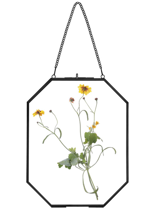 REDHUGO Pressed Flower Frames, Glass Floating Frames for Display Dried Plant Specimen Picture, Hanging Brass Photo Frame with Chain, Double Clear Glass, Vintage Wall Decor, Octagon, Black, 8x10 Inches