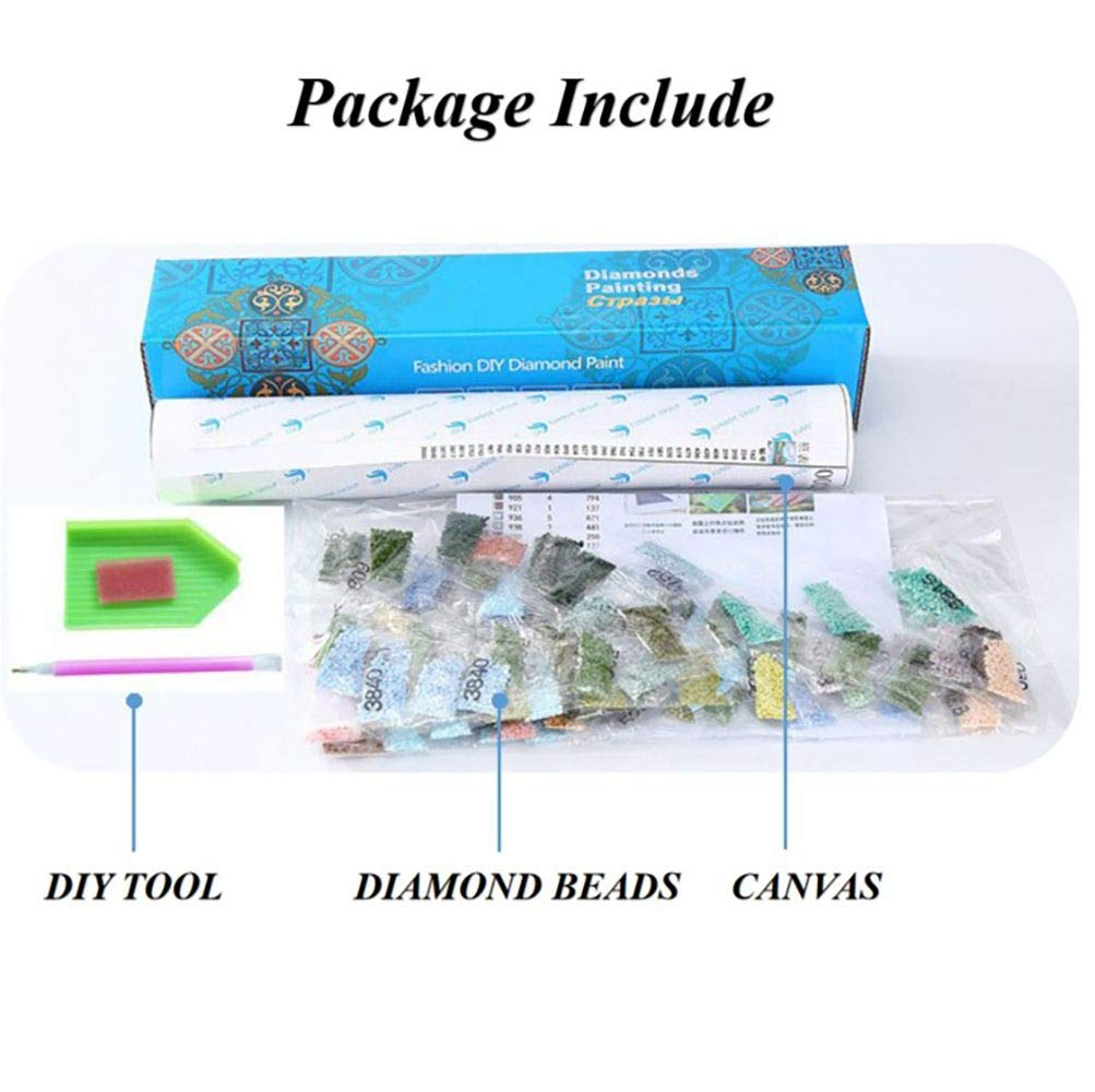Sukimi 5D DIY Diamond Painting Alice 16X20 inches Full Round Drill Rhinestone Embroidery for Wall Decoration