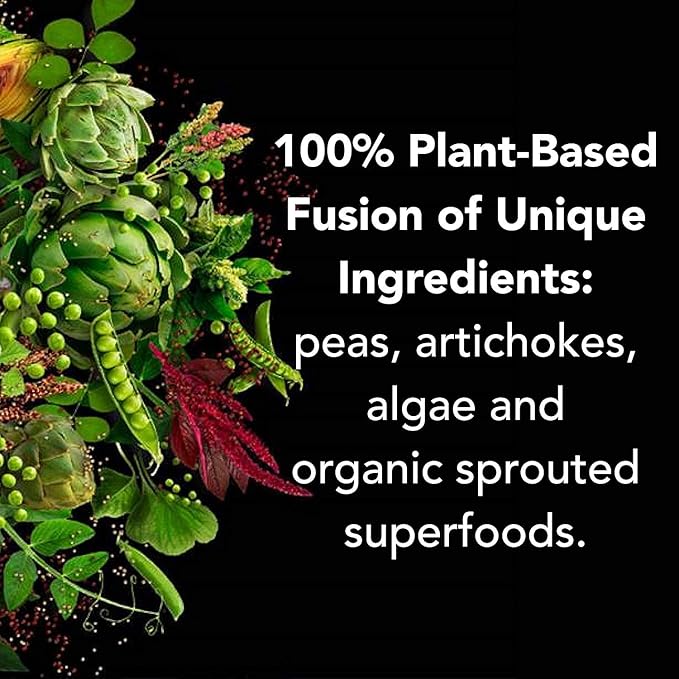 PlantFusion Complete Vegan Protein Powder - Plant Based Protein Powder With BCAAs, Digestive Enzymes and Pea Protein - Keto, Gluten Free, Soy Free, Non-Dairy, No Sugar, Non-GMO - Vanilla Bean 2 lb