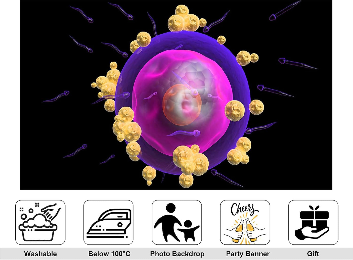 KeyWork 10x5ft Human Egg Cell Fertilization Backdrop Reproductive Science Photography Background for Health Fair