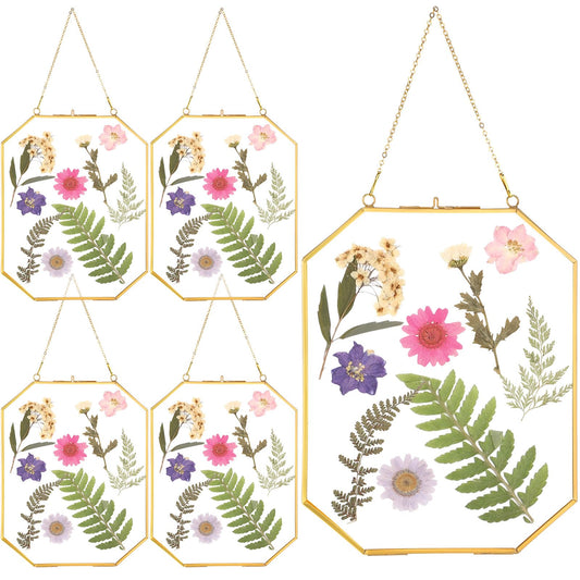Treela 4 Pieces 8 x 10 Inch Glass Pressed Flower Frame, Hanging Double Glass Frames with Metal Chain Octagon Brass Tabletop Display for Dried Flowers Plant Picture Photo Artwork DIY Decor(Gold)