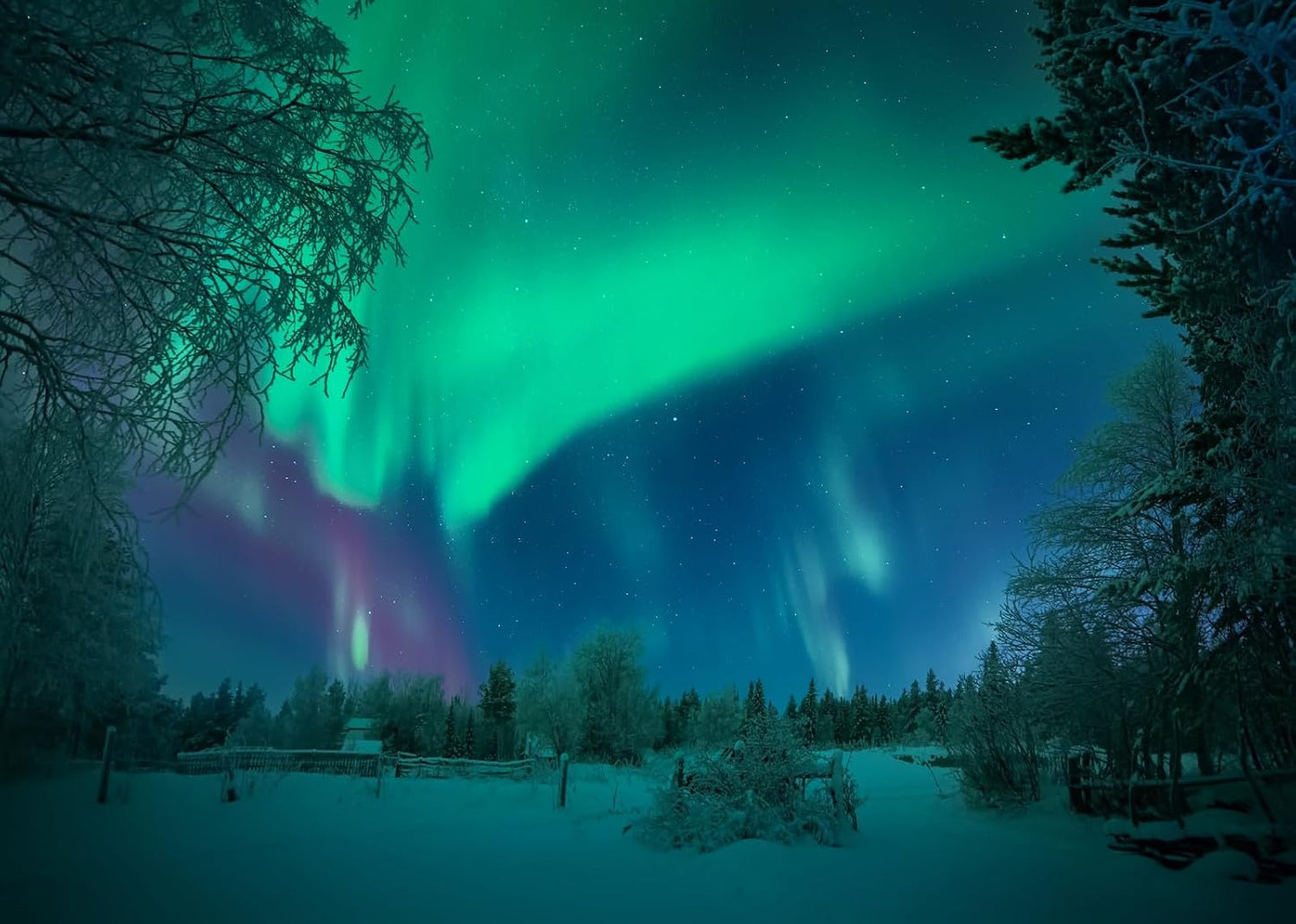 BELECO 10x8ft Fabric Aurora Borealis Backdrop Winter Forest Snowfield Northern Lights Night Sky Background Polar Lights
