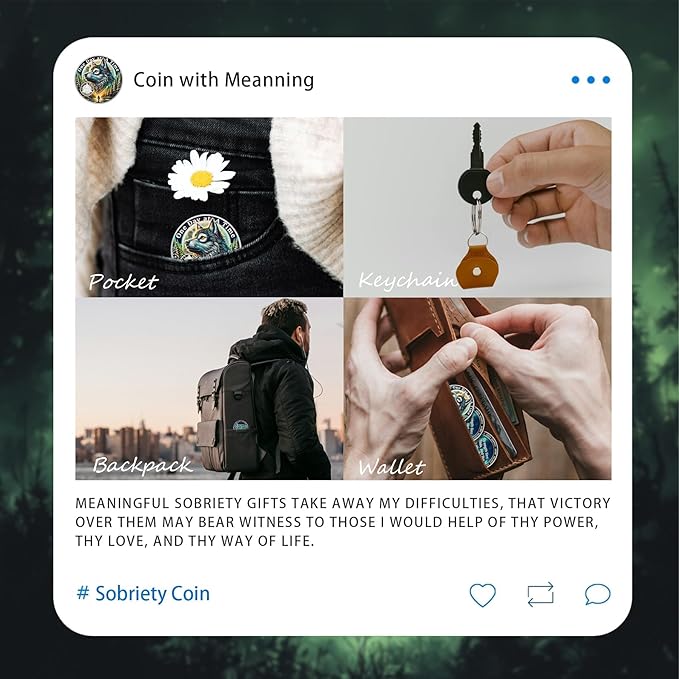One Day at a Time 12 Year Sobriety Coin - Recovery Aurora Forest Wolf AA Coins - Addiction NA AA Chips and Medallions - Celebrate 1-30 Living Clean Narcotics Alcoholics Anonymous Gifts for Men Women