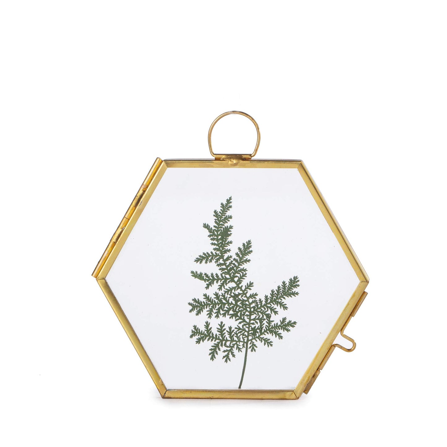 NCYP Mini Glass Floating Frame for Dried Flowers Plants, Photo - Side length 1.9 Inches - Wall Hanging Vertical Decor, Small Double Specimen Clip, Gold Hexagon (Glass Frame Only)