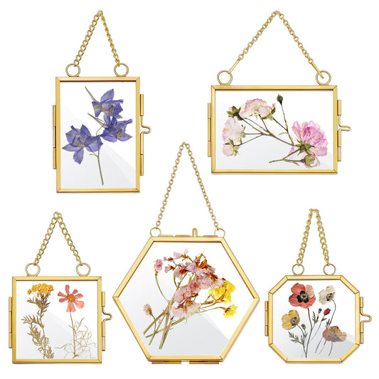5 Pcs Mini Gold Double Glass Frame for Pressed Flower Frames, 2x3.2 In Wall Hanging Picture Frames with Metal Chain, Horizontal Vertical Floating Glass Picture Frame for Plants Artwork Display