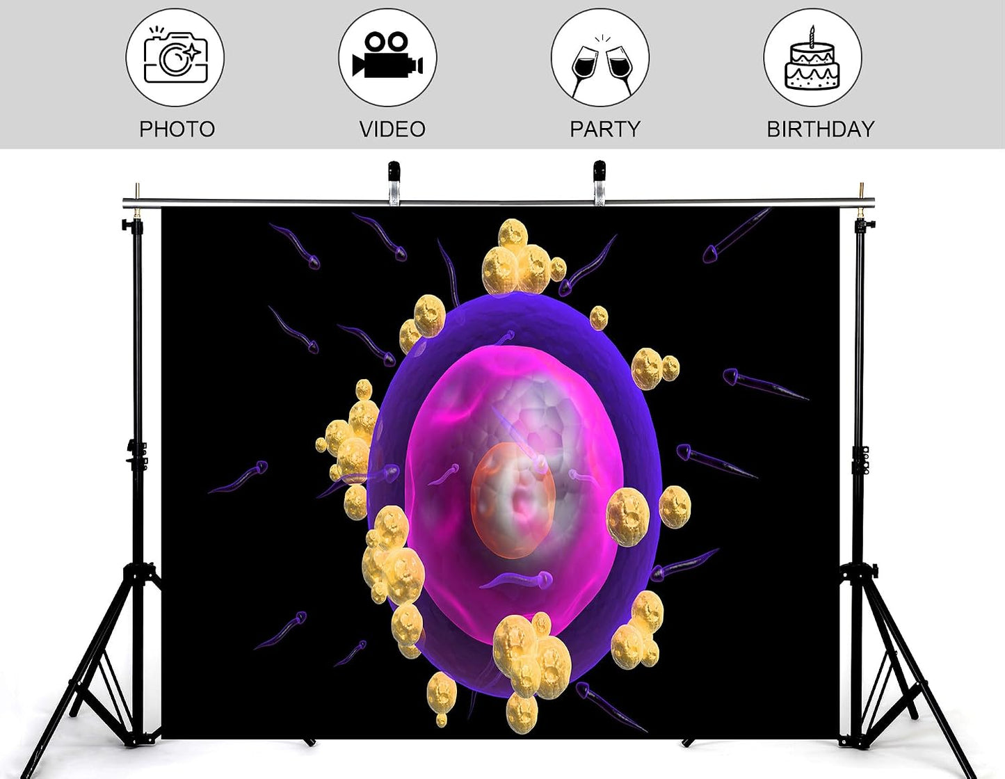 KeyWork 7x5ft Human Egg Cell Fertilization Backdrop Reproductive Science Photography Background for Health Fair