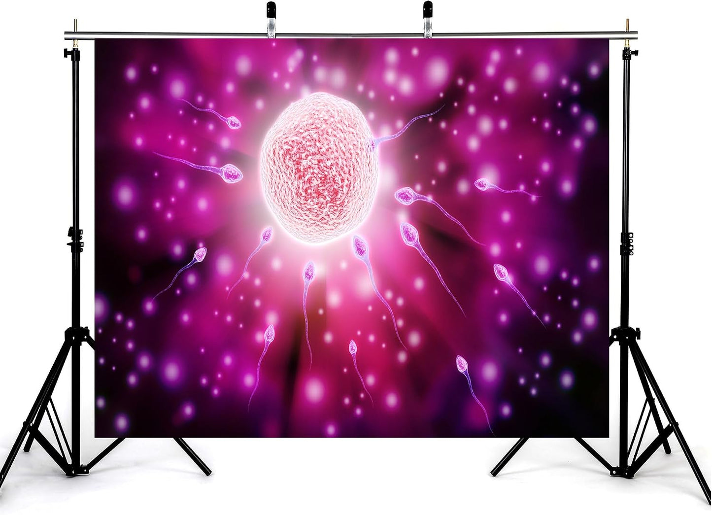 KeyWork 5x4ft Fertilization Science Illustration Backdrop Reproductive Biology Photography Background for Health Fair