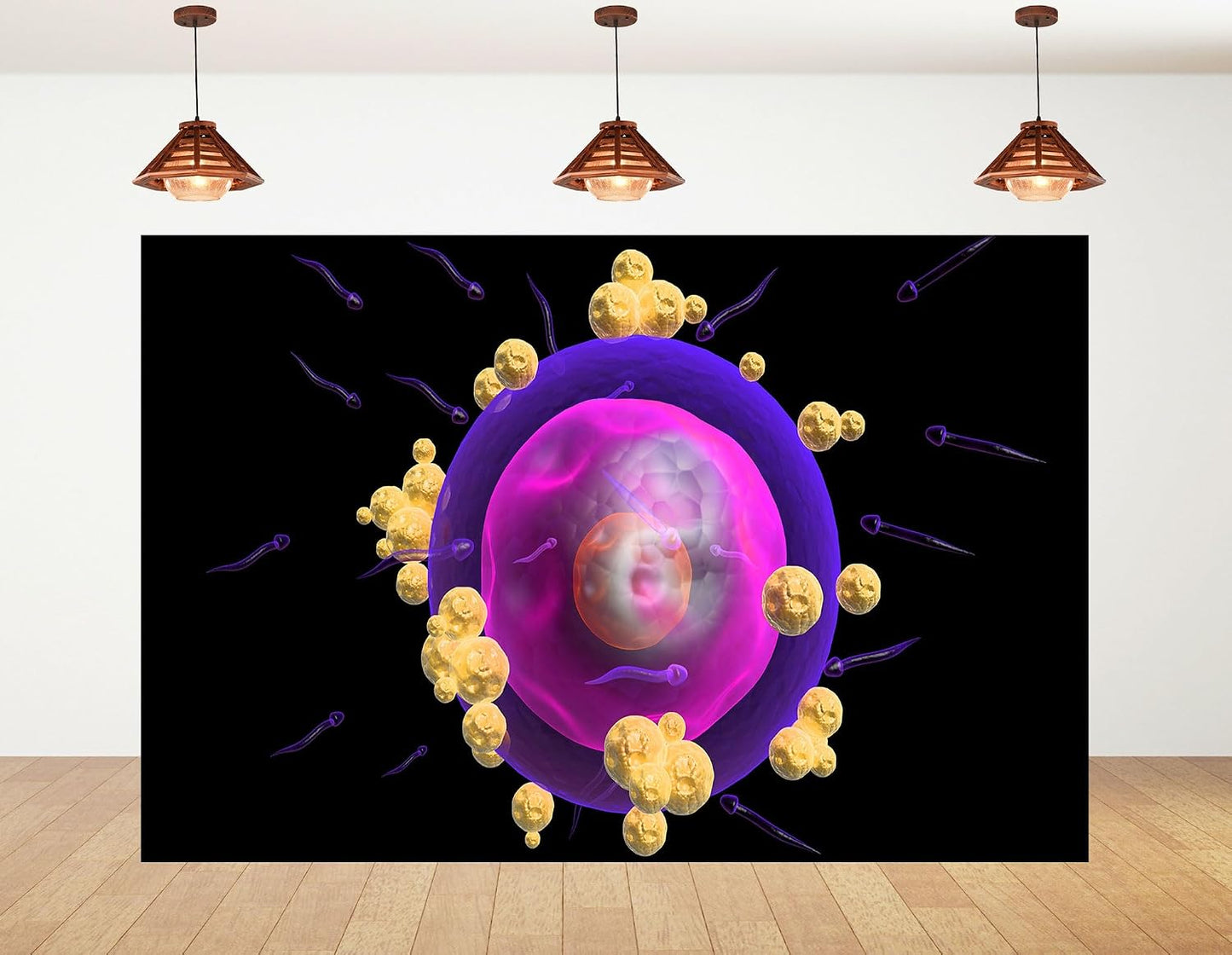 KeyWork 8x5ft Human Egg Cell Fertilization Backdrop Reproductive Science Photography Background for Health Fair