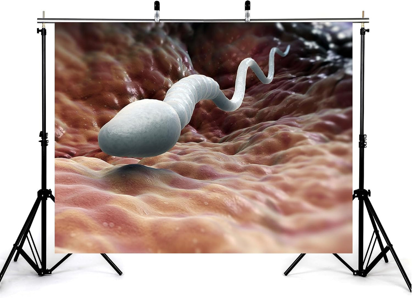 KeyWork 6x6ft Sperm Cell Backdrop Microscopic Reproductive Tissue View Photography Background for Medical Conference