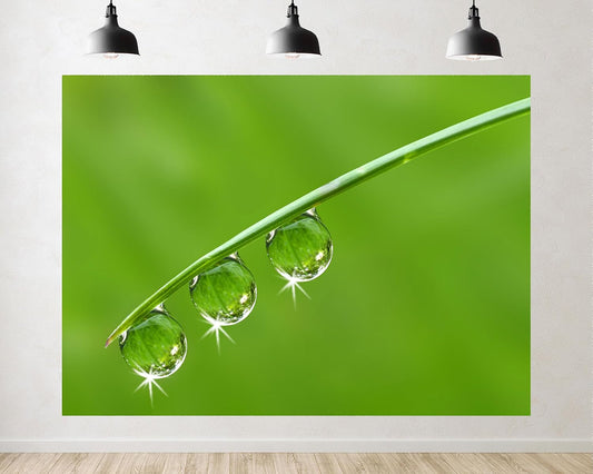 TryKid 9x6ft Green Dewdrop Grass Backdrop Sparkling Water Drop Blade Photography Background Fresh Spring Nature Event