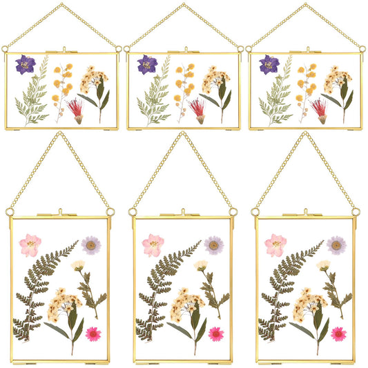 Treela 6 Pcs Pressed Flower Glass Picture Frame Women Gifts 8 x 10 Inch Wedding Brass Hanging Double Glass Gold Floating Photo Clear Horizontal Vertical with Chain for Gallery Vintage Artwork Display