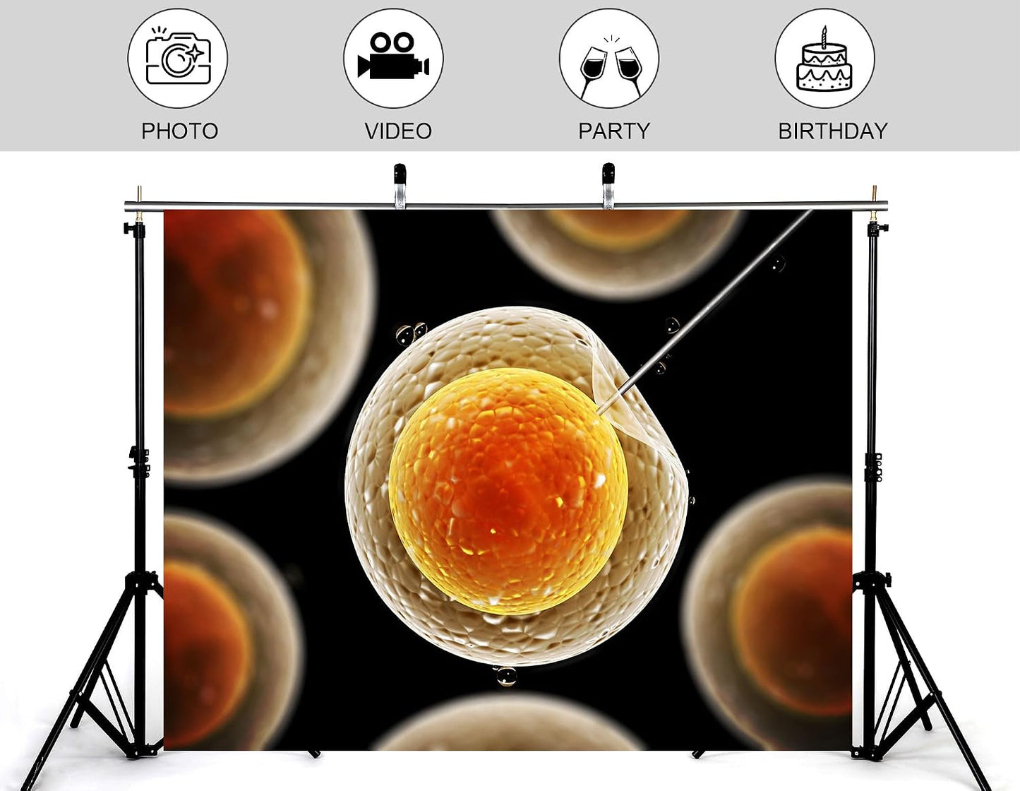 KeyWork 9x6ft Egg Cell Fertilization Backdrop Reproductive Medical Photography Background for Science Fair Health Event