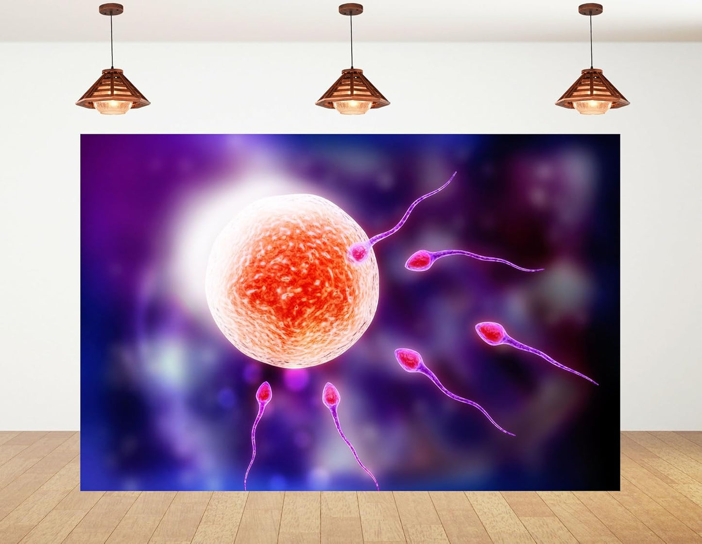 KeyWork 5x4ft Human Fertilization Illustration Backdrop Reproductive Science Photography Background for Health Fair