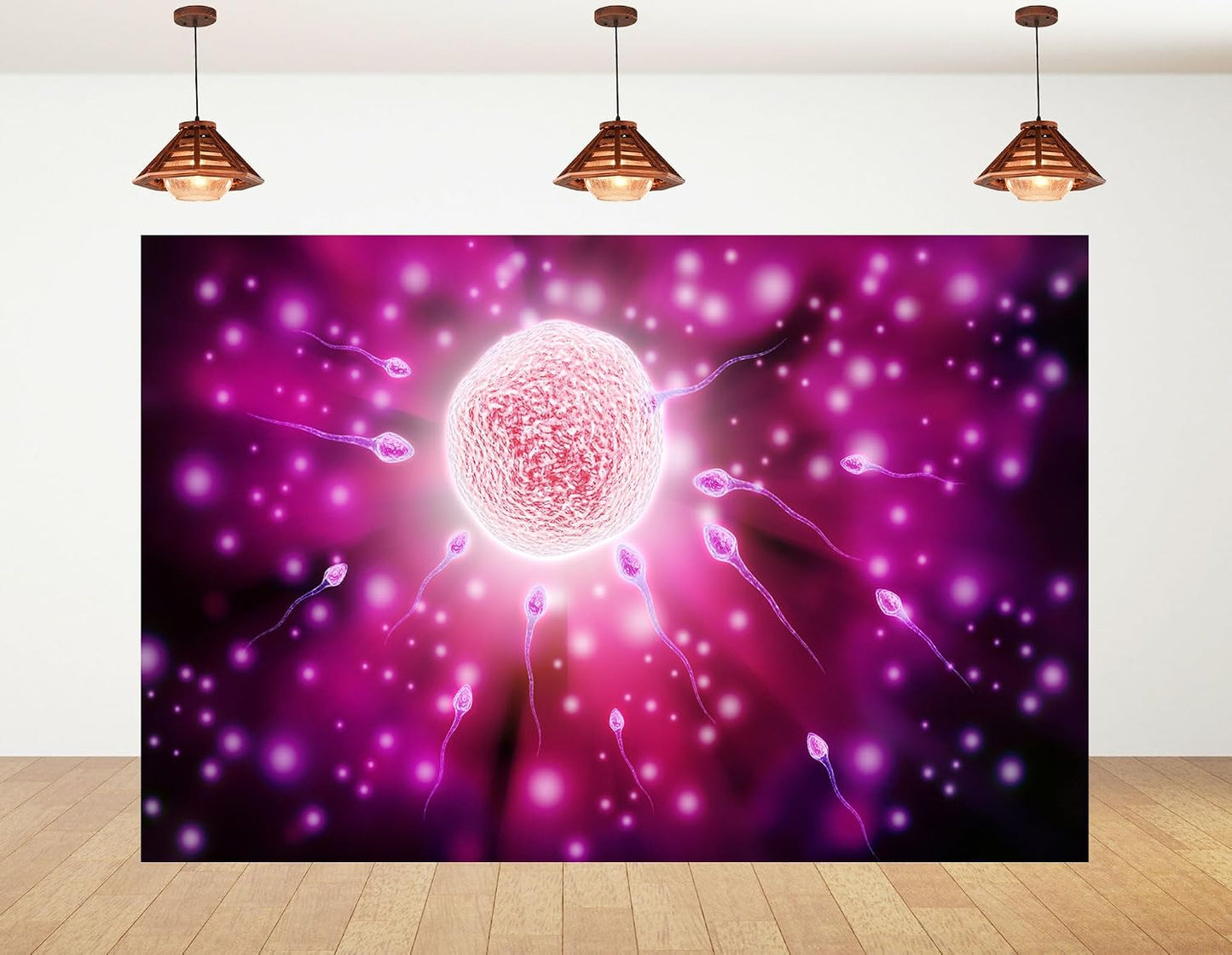 KeyWork 5x3ft Fertilization Science Illustration Backdrop Reproductive Biology Photography Background for Health Fair