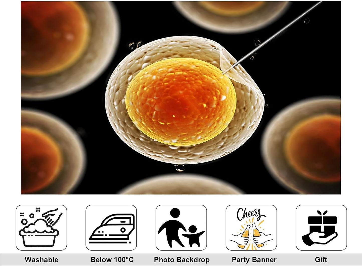 KeyWork 7x5ft Egg Cell Fertilization Backdrop Reproductive Medical Photography Background for Science Fair Health Event
