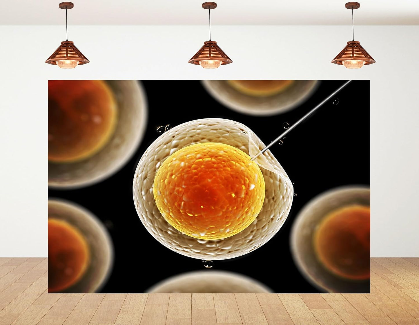 KeyWork 7x5ft Egg Cell Fertilization Backdrop Reproductive Medical Photography Background for Science Fair Health Event