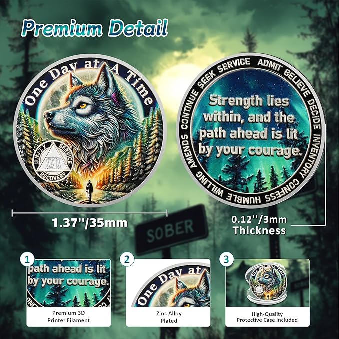 One Day at a Time 29 Year Sobriety Coin - Recovery Aurora Forest Wolf AA Coins - Addiction NA AA Chips and Medallions - Celebrate 1-30 Living Clean Narcotics Alcoholics Anonymous Gifts for Men Women
