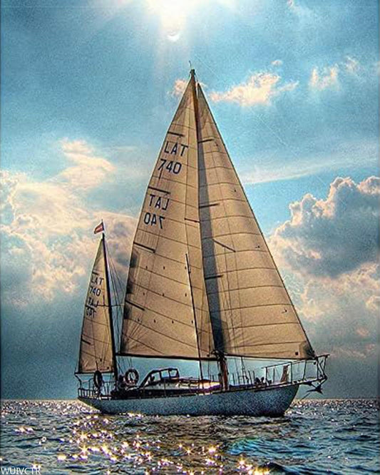 WUIVCTR DIY Oil Painting, Painted by The Adult's Digital Set Sparkling Lake Sailing Boat,16''x20''