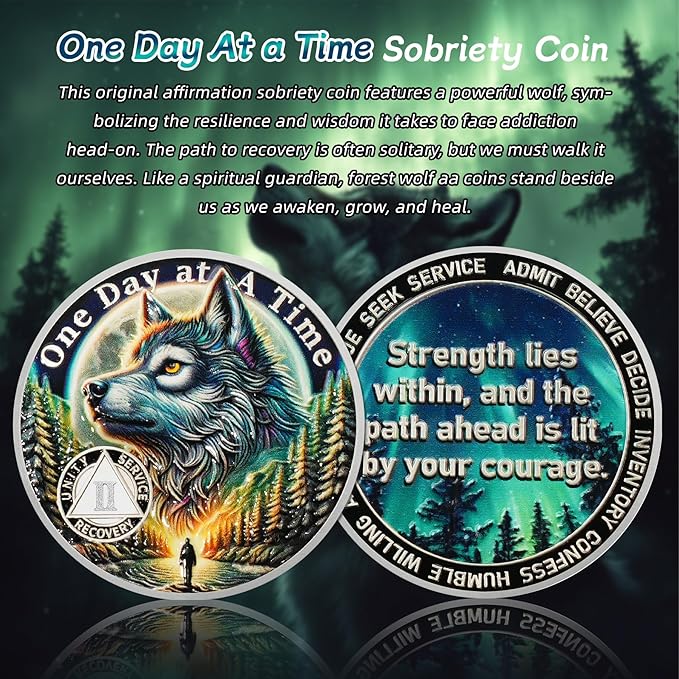 One Day at a Time 2 Year Sobriety Coin - Recovery Aurora Forest Wolf AA Coins - Addiction NA AA Chips and Medallions - Celebrate 1-20 Living Clean Narcotics Alcoholics Anonymous Gifts for Men Women