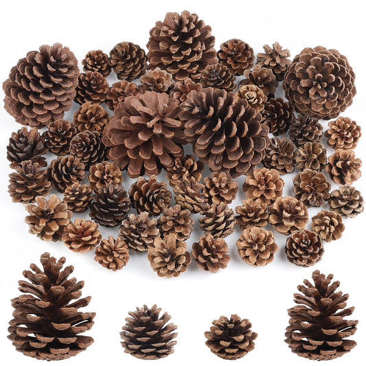 Wlicon 55 PCS Pine Cones Decorations Natural Pinecones, Large Medium & Mini Sizes Pinecones for Table Christmas Tree Crafts Gifts Thanksgiving Fall and Xmas Home Decor DIY Ornaments