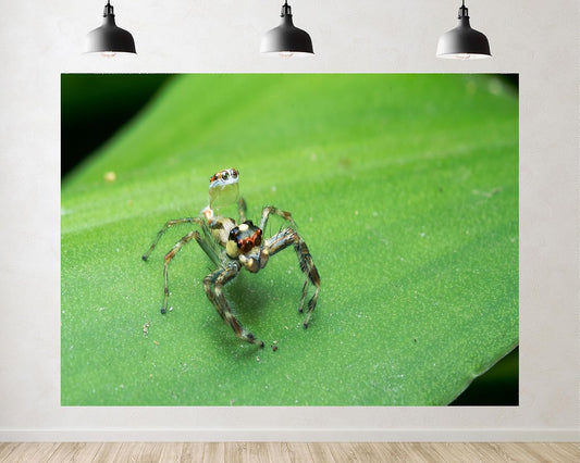 TryKid 8x8ft Jumping Spider Leaf Backdrop Macro Insect Green Plant Photography Background Science Education Nature
