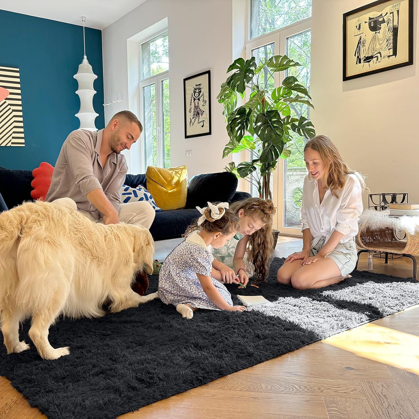 OLANLY Area Rugs - Soft Fluffy Shaggy Indoor Carpet for Living Room & Bedroom | 4x11 ft, Black
