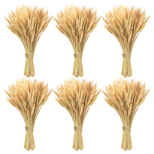 Phliofd 600 Stems Natural Dried Wheat Stalks, 18 inches Dried Wheat Grass Bundle Wheat Sheaves Wreath for Flowers Arrangement Wedding Table Centerpieces Home Kitchen Office DIY Party Décor