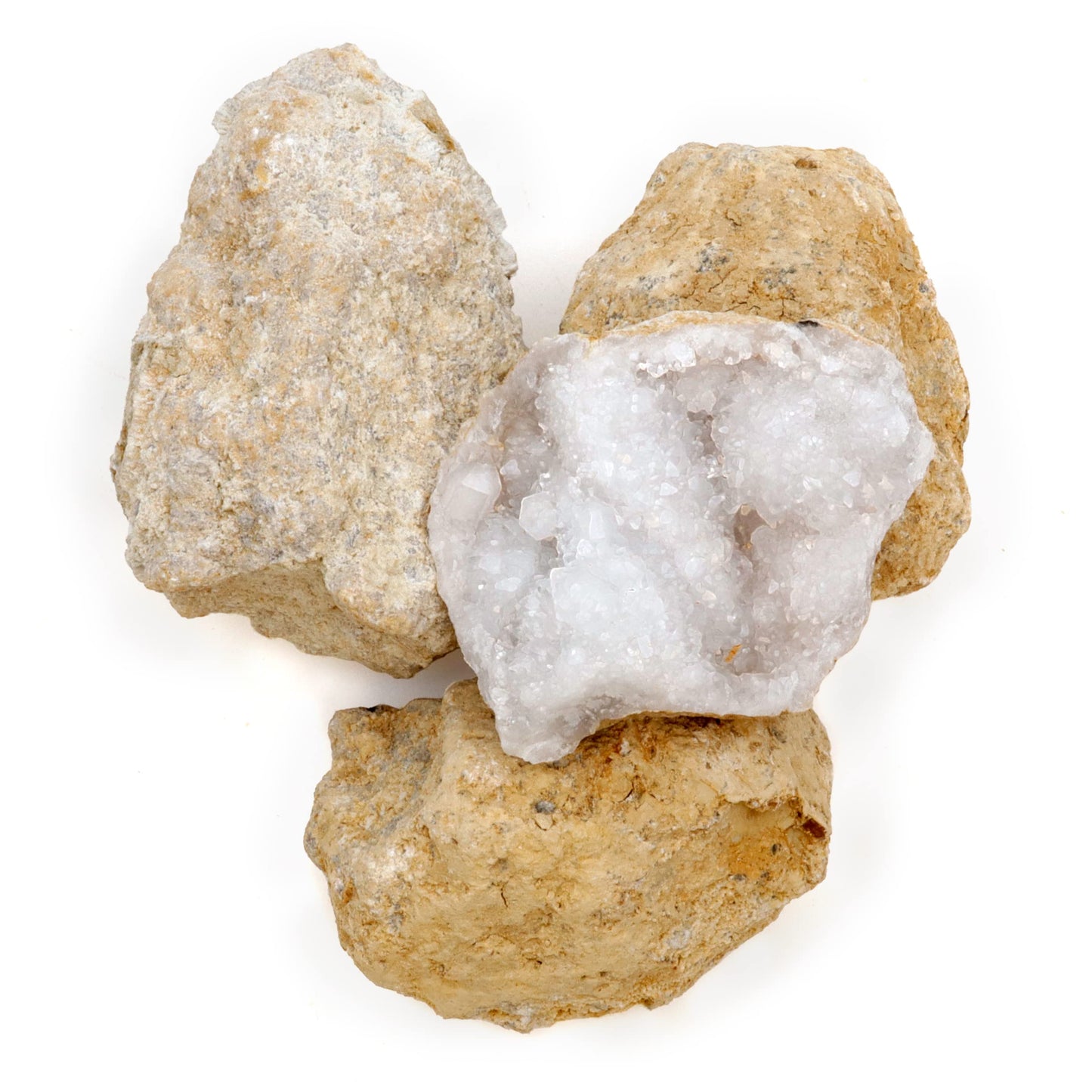 DANCING BEAR 25 Break Your Own Geodes, (Medium 1-1.5") 90% Hollow, Crack Open & Discover Amazing Surprise Crystals Inside! Educational Info and Instructions Included, Fun Party Favors & Prizes