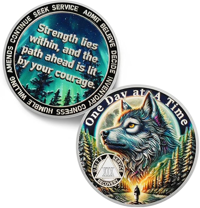 One Day at a Time 19 Year Sobriety Coin - Recovery Aurora Forest Wolf AA Coins - Addiction NA AA Chips and Medallions - Celebrate 1-30 Living Clean Narcotics Alcoholics Anonymous Gifts for Men Women