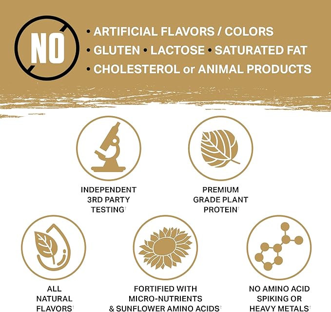 Ambrosia Planta - Premium Plant-Based Protein | Vegan & Keto Friendly | Gourmet Flavors with No Bloating or Stomach Upset | Gluten & Soy Free | No Added Sugar | 25 Servings | Cinnamon Roll