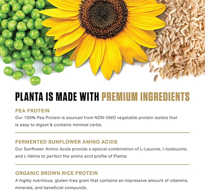 Ambrosia Planta - Premium Plant-Based Protein | Vegan & Keto Friendly | Gourmet Flavors with No Bloating or Stomach Upset | Gluten & Soy Free | No Added Sugar | 25 Servings | Sprinkle Cupcake