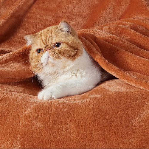 Bedsure Burnt Orange Throw Blanket - Soft, Lightweight Fleece Twin Blanket for Cozy Comfort at Home or Travel