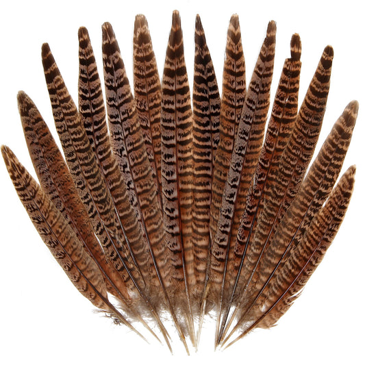 20pcs Female Pheasant Feather Natural Ringneck Tails Feathers 10-12inch 25-30cm for Crafts Home Wedding Party Performance DIY Decoration Pheasant Feather,Female Pheasant Feathers
