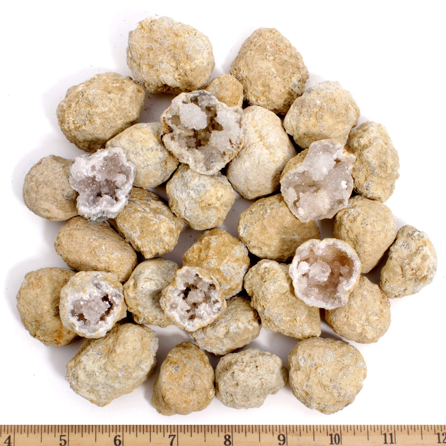 DANCING BEAR 25 Break Your Own Geodes, (Medium 1-1.5") 90% Hollow, Crack Open & Discover Amazing Surprise Crystals Inside! Educational Info and Instructions Included, Fun Party Favors & Prizes